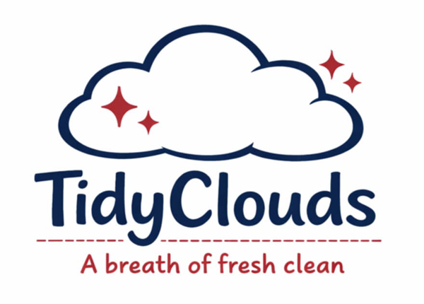 TidyClouds